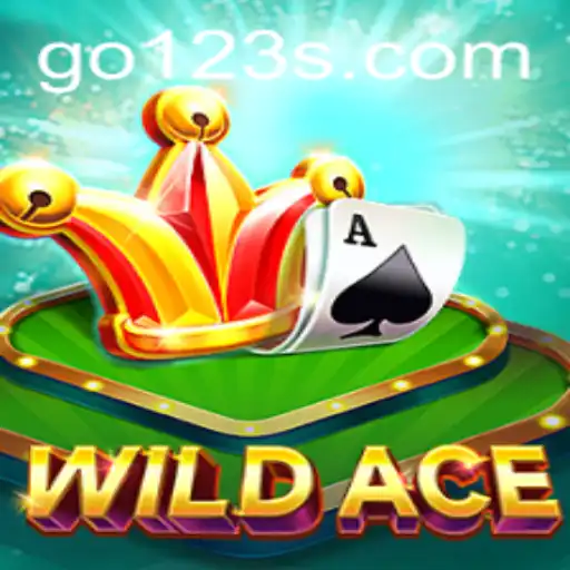 Discover the Thrills of WildAce With GO123